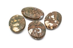 Zeige Details für Rhyolith Seifensteine 30x45x12mm Bild von Rhyolith Seifensteine 30x45x12mm