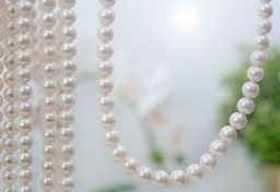 Bild von Süsswasser Perlen Rund  9.5-10mm Strang 