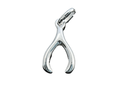 Immagine di Silber Wishbone 10x18mm Anhänger. Silber 925