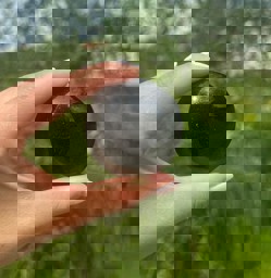 Zeige Details für Goldfluss lila Puffy Disc 55mm Bild von Goldfluss lila Puffy Disc 55mm