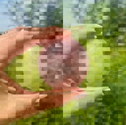 Zeige Details für Rosenquarz Puffy Disc 55mm Bild von Rosenquarz Puffy Disc 55mm