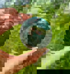 Zeige Details für Heliotrop Puffy Disc 55mm Bild von Heliotrop Puffy Disc 55mm