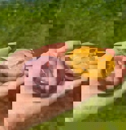 Zeige Details für Mookait Puffy Disc 55mm Bild von Mookait Puffy Disc 55mm