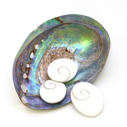 Vedere dettagli per Occhio di Shiva disco/ovale circa 35x30 mm Immagine di Occhio di Shiva disco/ovale circa 35x30 mm