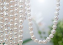 Bild von Süsswasser Perlen Rund 11-12mm Strang 