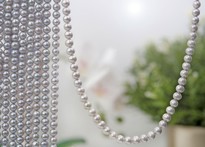 Bild von Süsswasser Perlen Rund  6-6.5mm Strang (grau) 