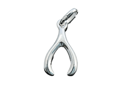 Bild von Silber Wishbone 10x18mm Anhänger. Silber 925