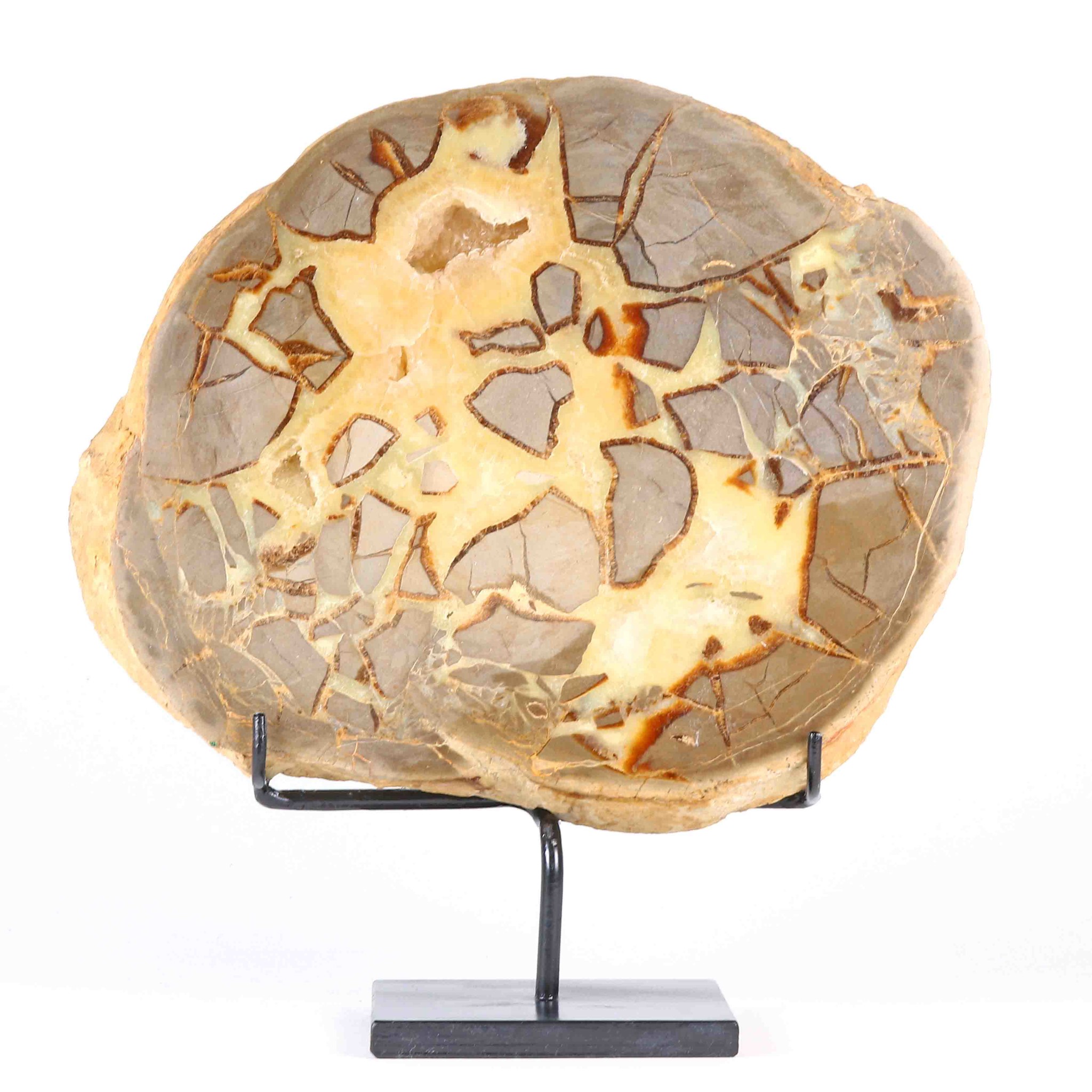 Bild von Septarien Scheibe auf Display