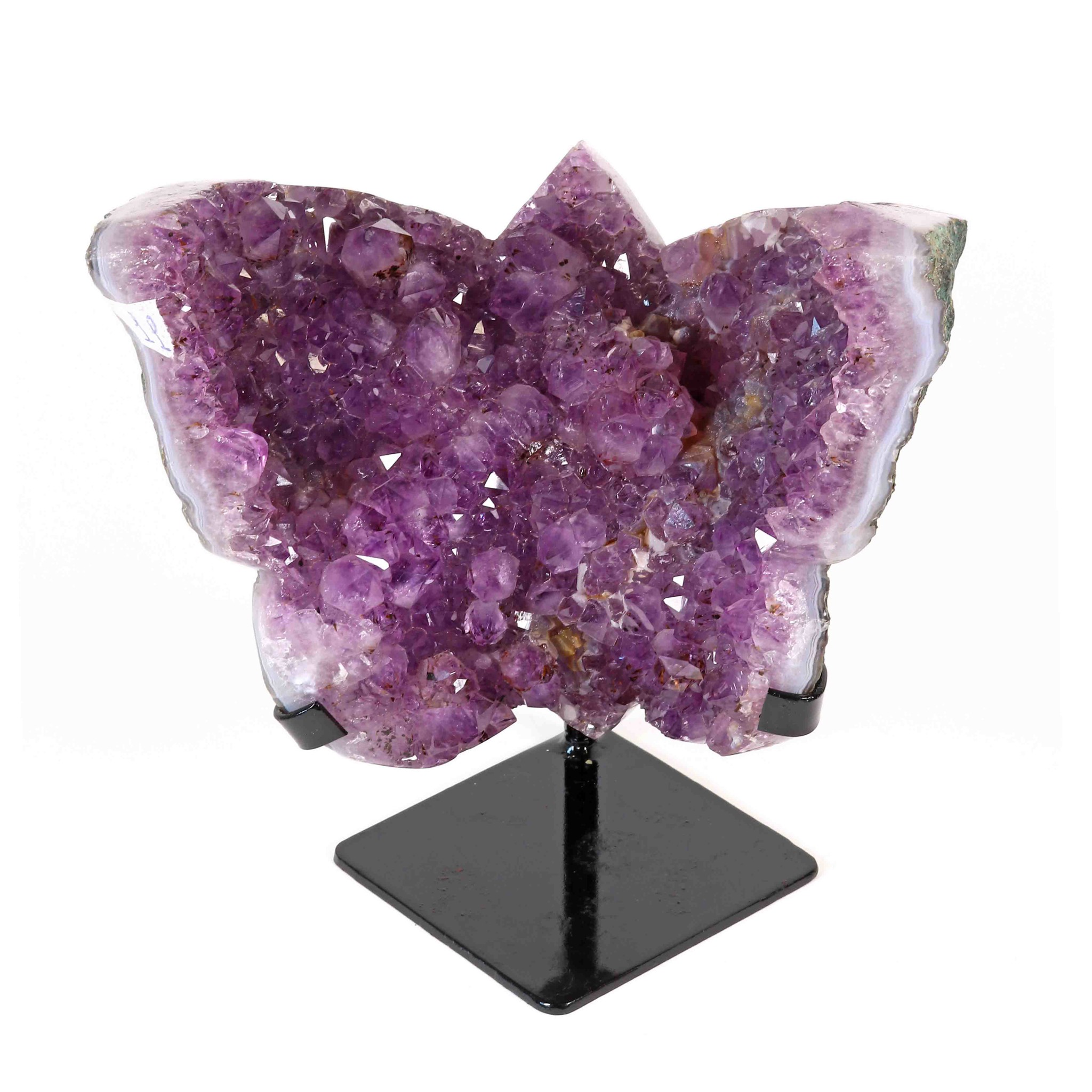 Bild von Amethyst Schmetterling auf Display