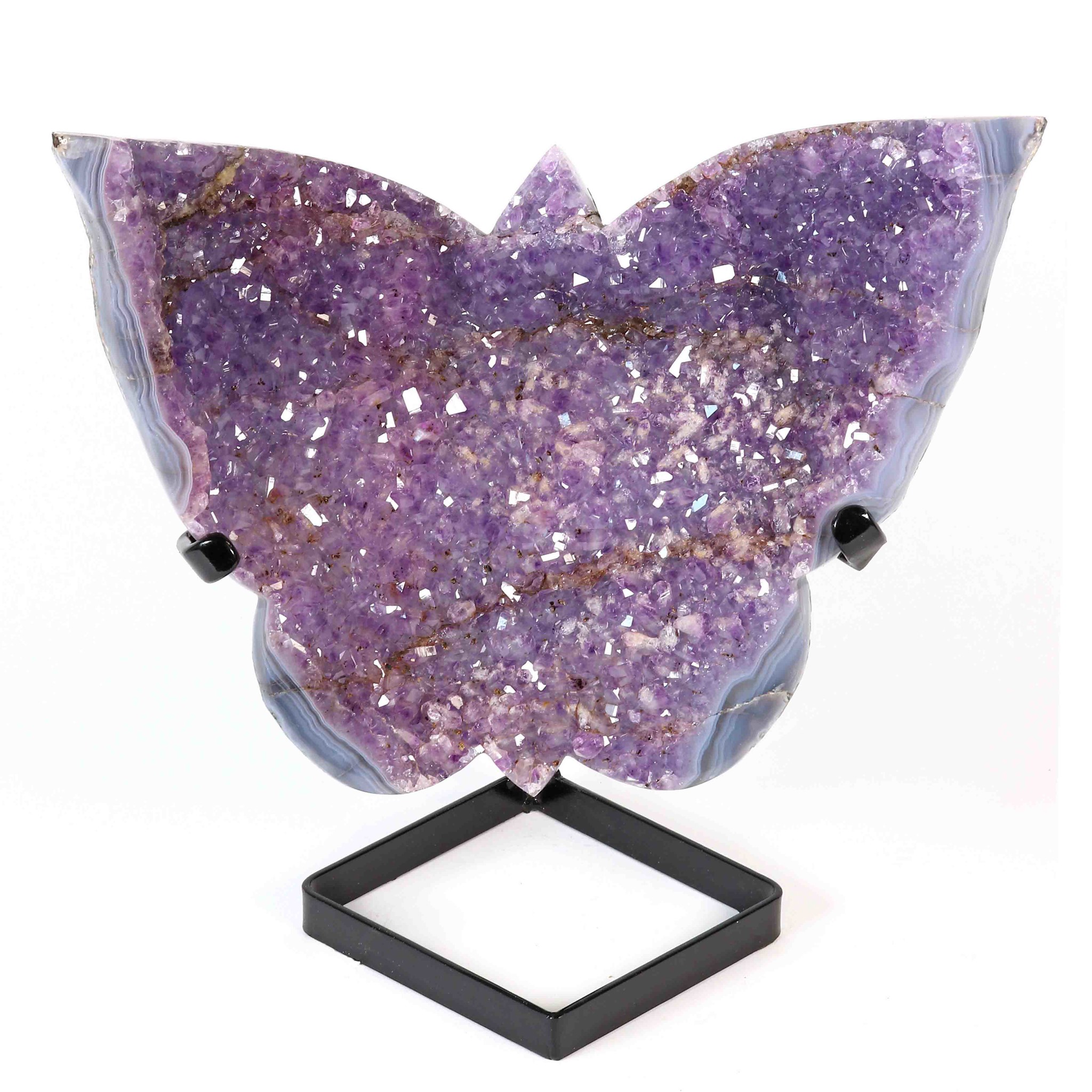 Bild von Amethyst Schmetterling auf Display