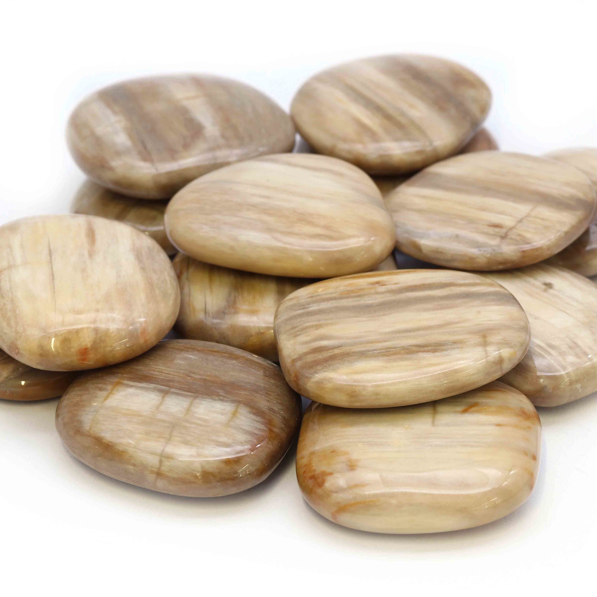 Immagine di Pietra piatta levigata in legno fossile (PU: 250g)