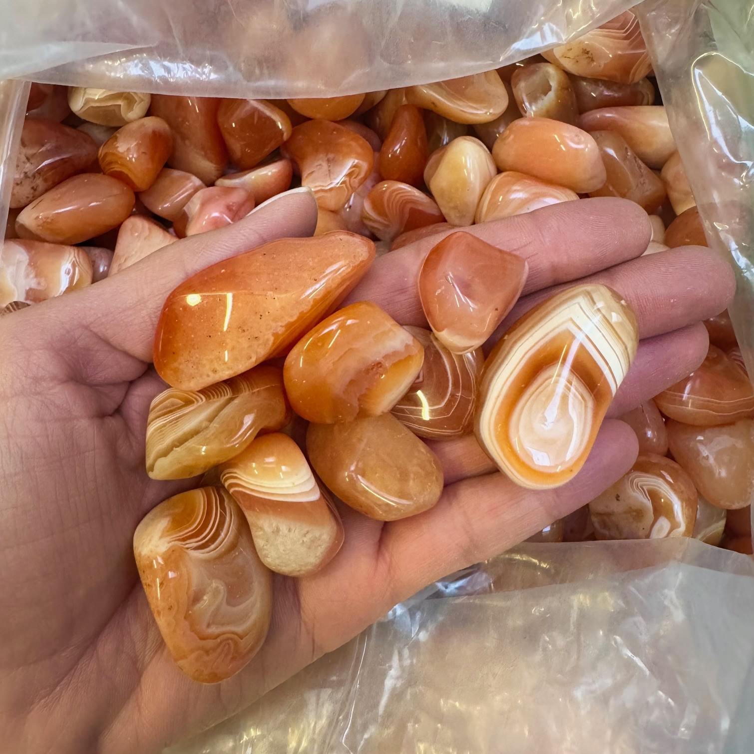 Bild von Karneol Natur gebändert Trommelsteine (VE: 250g)