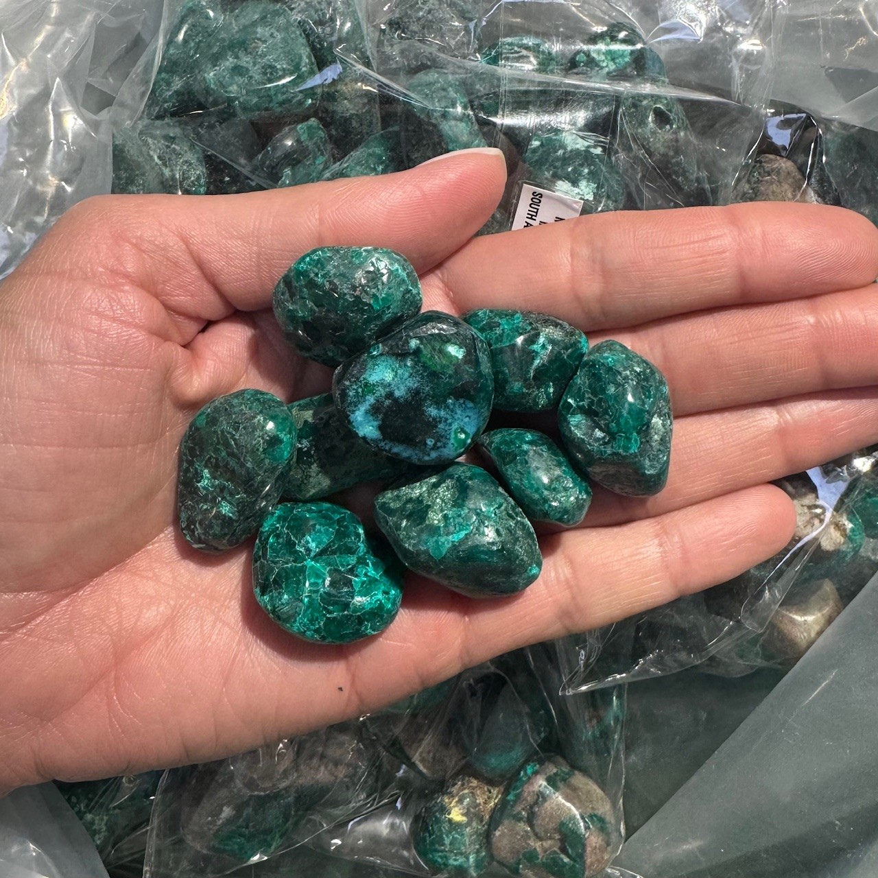 Bild von Dioptas Trommelsteine (Kongo) (VE: 100g)